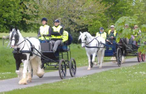 Winterborne Whitchurch drive